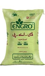 Engro DAP